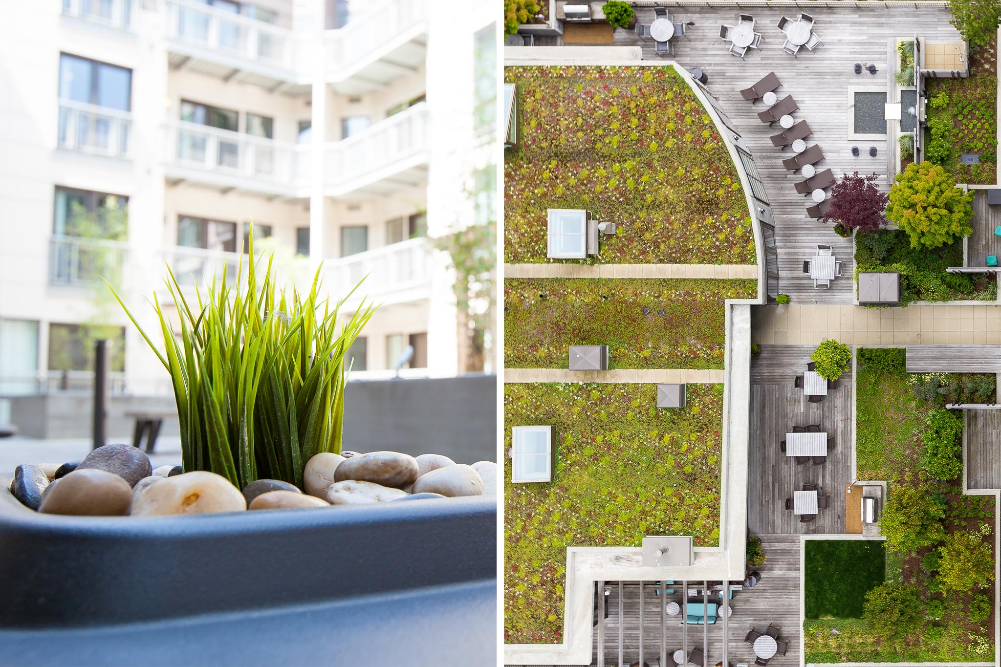 Closeup and Aerial view of courtyard with green roof 